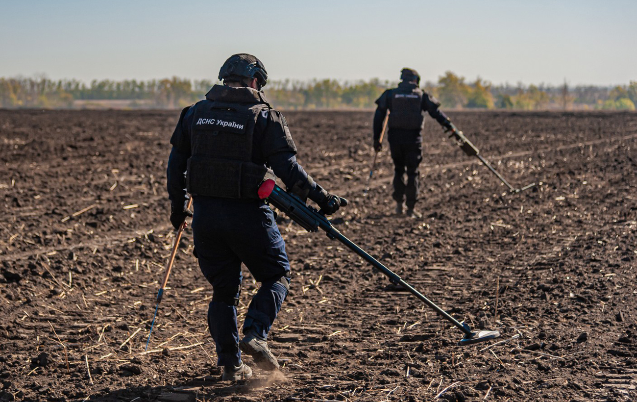 Академик НАН: На месте Каховского водохранилища за 20 лет вырастет уникальный лес
